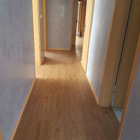 Ferienwohnung Regenbogen Kappel-Grafenhausen Dış mekan fotoğraf